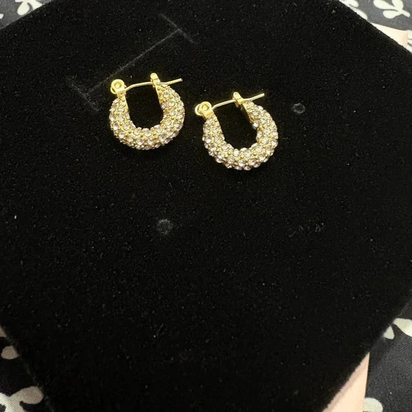 Zircon hoope earrings - Picture 2 of 3